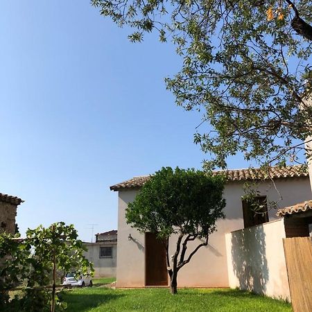 Vila La Casa Del Mandarino Di Borgo Carbone Locri Exteriér fotografie