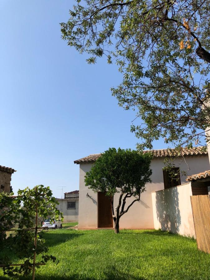 Vila La Casa Del Mandarino Di Borgo Carbone Locri Exteriér fotografie